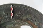 Foto von Bronzebreitrandfußschale (NHMW-PRAE-024138)